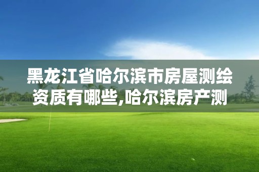 黑龍江省哈爾濱市房屋測繪資質有哪些,哈爾濱房產測繪公司