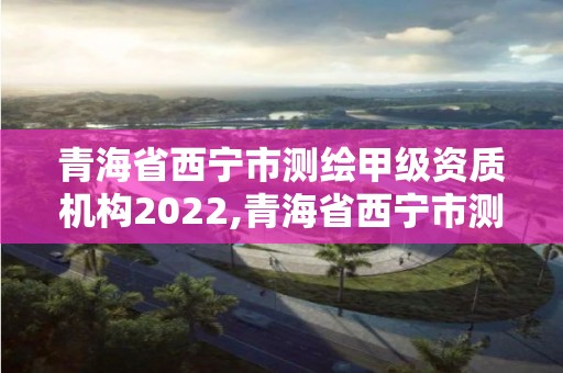 青海省西寧市測繪甲級資質機構2022,青海省西寧市測繪甲級資質機構2022年公告