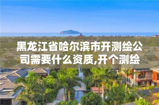 黑龍江省哈爾濱市開測繪公司需要什么資質,開個測繪公司有前景嗎。