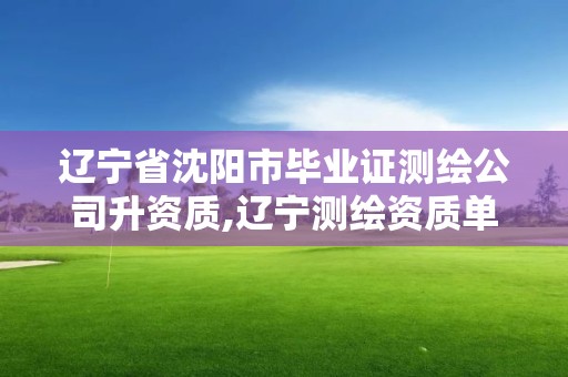 遼寧省沈陽市畢業(yè)證測繪公司升資質(zhì),遼寧測繪資質(zhì)單位。