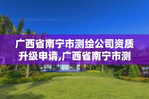 廣西省南寧市測繪公司資質升級申請,廣西省南寧市測繪公司資質升級申請流程