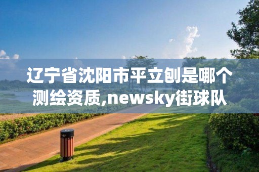 遼寧省沈陽市平立刨是哪個測繪資質,newsky街球隊。