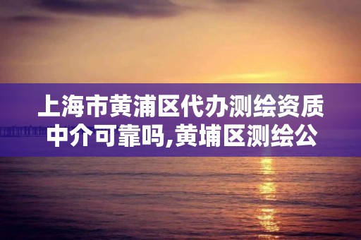 上海市黃浦區代辦測繪資質中介可靠嗎,黃埔區測繪公司