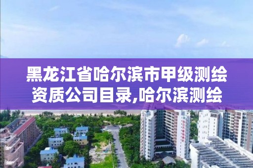 黑龍江省哈爾濱市甲級測繪資質(zhì)公司目錄,哈爾濱測繪院地址