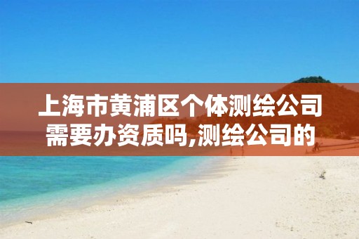 上海市黃浦區個體測繪公司需要辦資質嗎,測繪公司的資質去哪里申請。