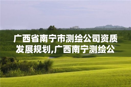 廣西省南寧市測繪公司資質(zhì)發(fā)展規(guī)劃,廣西南寧測繪公司排名