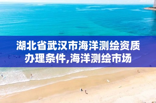 湖北省武漢市海洋測繪資質辦理條件,海洋測繪市場