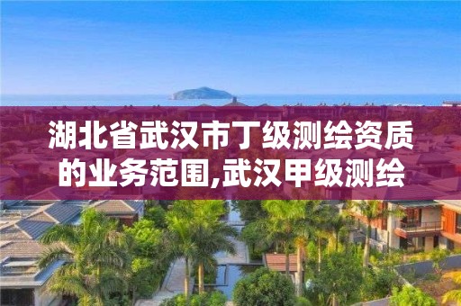 湖北省武漢市丁級測繪資質的業務范圍,武漢甲級測繪單位。