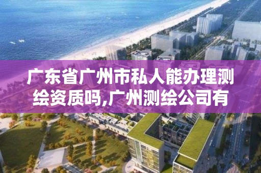 廣東省廣州市私人能辦理測繪資質嗎,廣州測繪公司有哪些