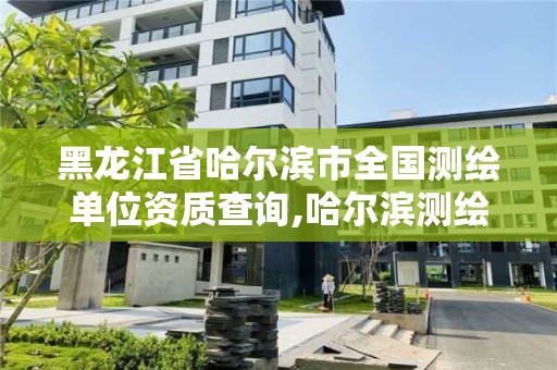 黑龍江省哈爾濱市全國(guó)測(cè)繪單位資質(zhì)查詢,哈爾濱測(cè)繪公司電話