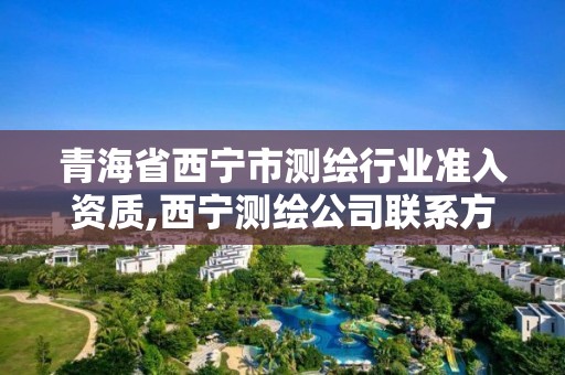 青海省西寧市測繪行業準入資質,西寧測繪公司聯系方式