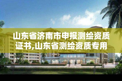 山東省濟南市申報測繪資質證書,山東省測繪資質專用章圖片