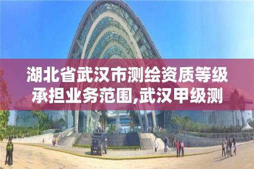 湖北省武漢市測繪資質等級承擔業務范圍,武漢甲級測繪單位。