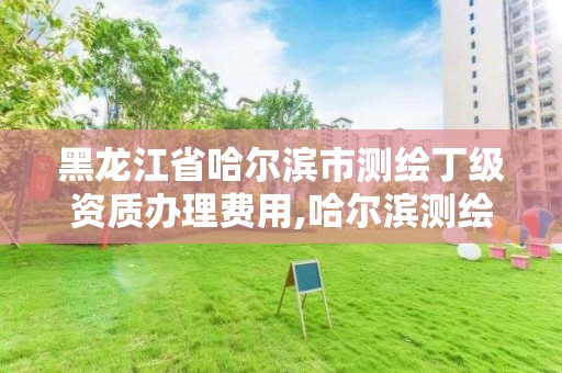 黑龍江省哈爾濱市測繪丁級資質辦理費用,哈爾濱測繪地理信息局招聘公告