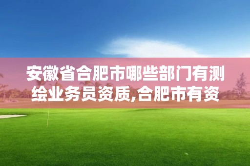 安徽省合肥市哪些部門有測繪業務員資質,合肥市有資質的測繪公司。