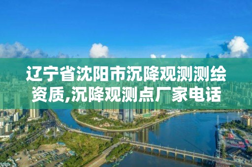 遼寧省沈陽市沉降觀測測繪資質,沉降觀測點廠家電話