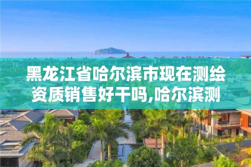 黑龍江省哈爾濱市現在測繪資質銷售好干嗎,哈爾濱測繪局待遇