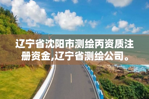 遼寧省沈陽市測繪丙資質(zhì)注冊資金,遼寧省測繪公司。