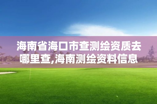 海南省海口市查測繪資質去哪里查,海南測繪資料信息中心