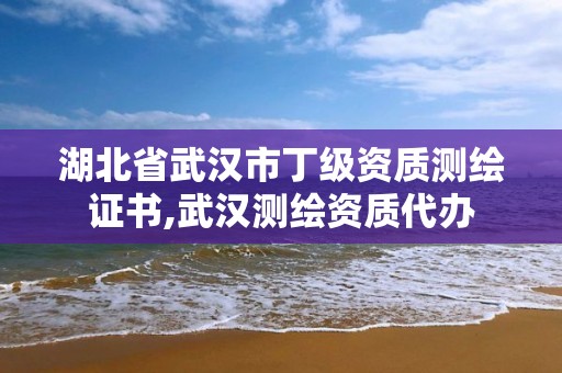 湖北省武漢市丁級資質測繪證書,武漢測繪資質代辦