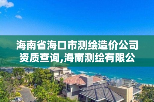 海南省海口市測繪造價公司資質查詢,海南測繪有限公司