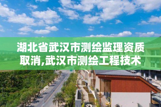 湖北省武漢市測繪監理資質取消,武漢市測繪工程技術規定