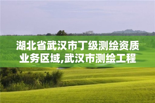 湖北省武漢市丁級(jí)測(cè)繪資質(zhì)業(yè)務(wù)區(qū)域,武漢市測(cè)繪工程技術(shù)規(guī)定