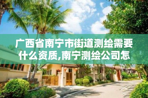 廣西省南寧市街道測繪需要什么資質,南寧測繪公司怎么收費標準