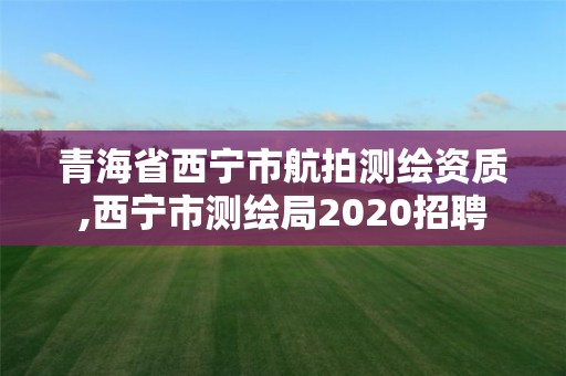 青海省西寧市航拍測繪資質(zhì),西寧市測繪局2020招聘