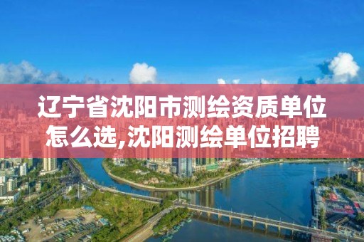 遼寧省沈陽市測繪資質單位怎么選,沈陽測繪單位招聘