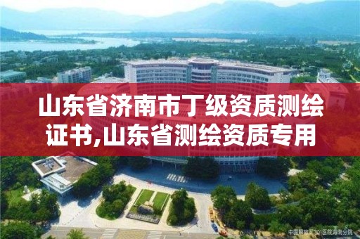 山東省濟南市丁級資質測繪證書,山東省測繪資質專用章圖片