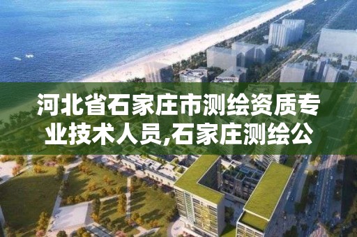 河北省石家莊市測繪資質專業技術人員,石家莊測繪公司有哪些。