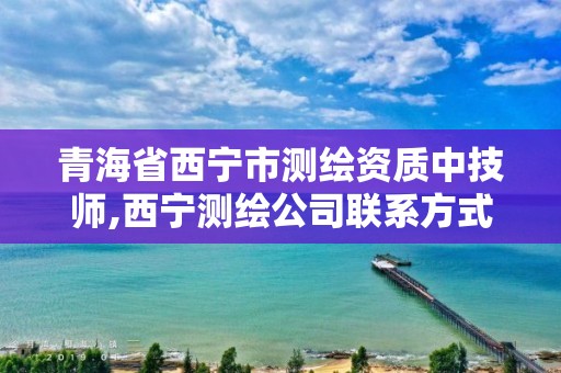 青海省西寧市測繪資質中技師,西寧測繪公司聯系方式