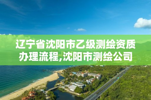 遼寧省沈陽市乙級測繪資質辦理流程,沈陽市測繪公司