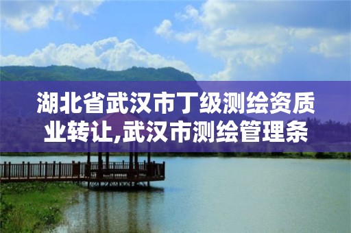 湖北省武漢市丁級測繪資質業(yè)轉讓,武漢市測繪管理條例