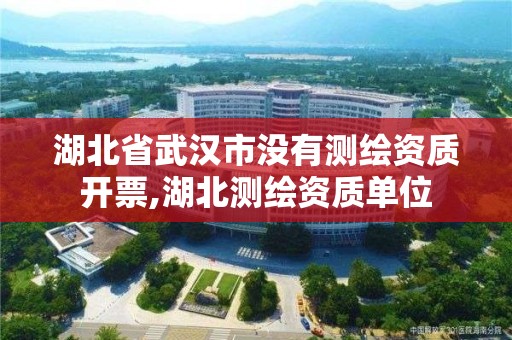 湖北省武漢市沒有測繪資質開票,湖北測繪資質單位