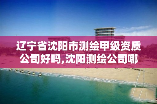 遼寧省沈陽市測繪甲級資質公司好嗎,沈陽測繪公司哪家強哪家好