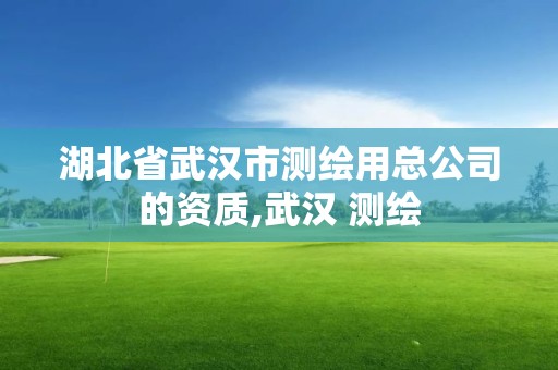 湖北省武漢市測繪用總公司的資質,武漢 測繪