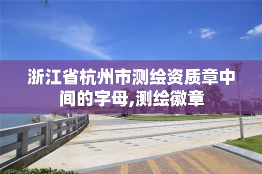 浙江省杭州市測繪資質(zhì)章中間的字母,測繪徽章