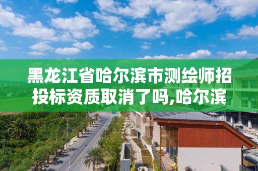 黑龍江省哈爾濱市測繪師招投標資質取消了嗎,哈爾濱測繪局工資怎么樣。