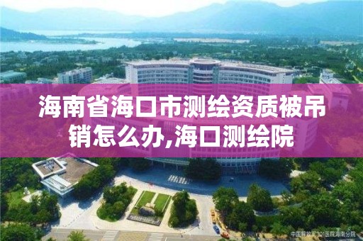 海南省海口市測繪資質被吊銷怎么辦,海口測繪院