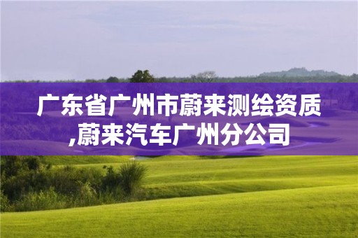 廣東省廣州市蔚來測繪資質,蔚來汽車廣州分公司