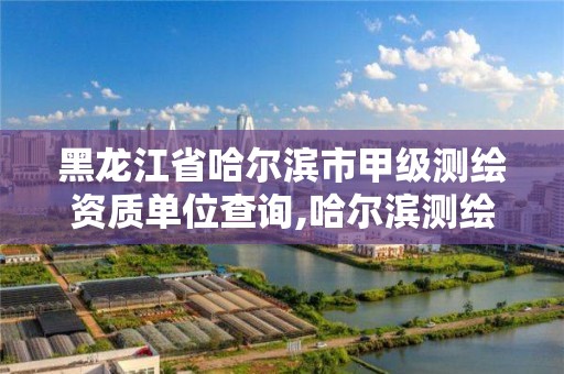 黑龍江省哈爾濱市甲級測繪資質單位查詢,哈爾濱測繪職工中等專業學校