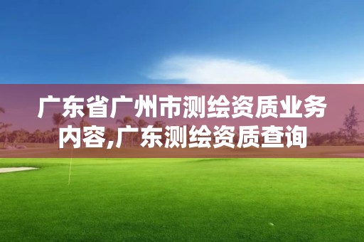 廣東省廣州市測繪資質業務內容,廣東測繪資質查詢