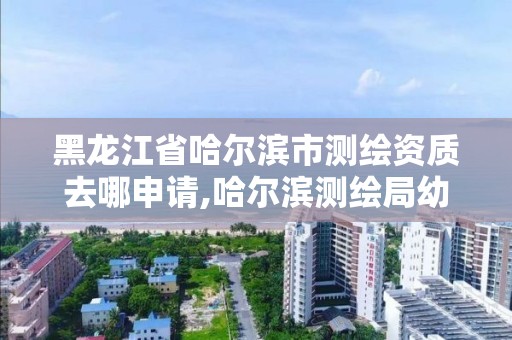 黑龍江省哈爾濱市測繪資質去哪申請,哈爾濱測繪局幼兒園是民辦還是公辦