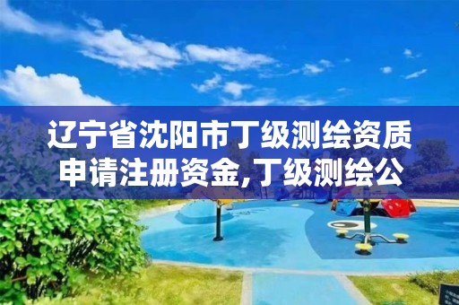 遼寧省沈陽市丁級測繪資質申請注冊資金,丁級測繪公司注冊條件。