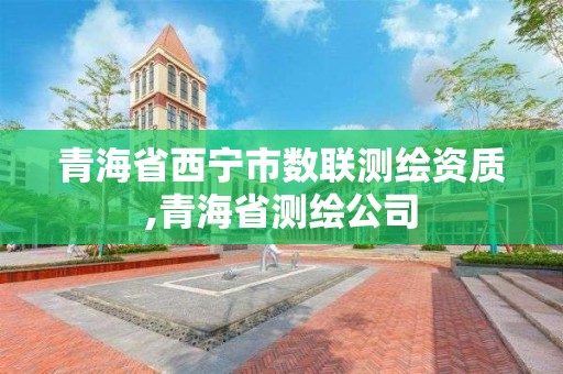 青海省西寧市數聯測繪資質,青海省測繪公司