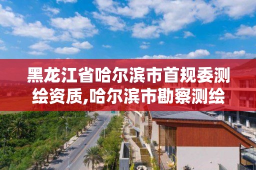 黑龍江省哈爾濱市首規委測繪資質,哈爾濱市勘察測繪研究院