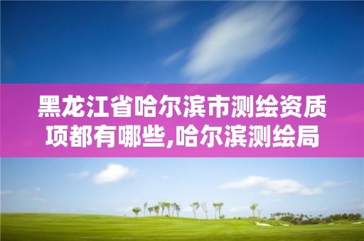 黑龍江省哈爾濱市測繪資質(zhì)項都有哪些,哈爾濱測繪局幼兒園是民辦還是公辦