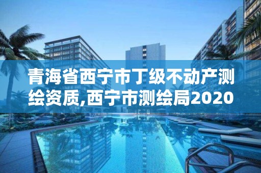 青海省西寧市丁級不動產測繪資質,西寧市測繪局2020招聘。